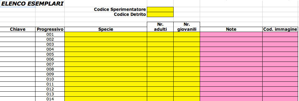 Ricerche sulla malacofauna marina di Zannone